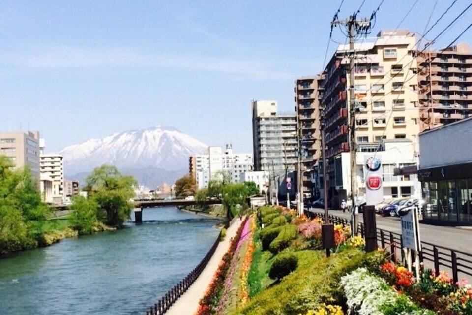 Um rio com uma montanha ao fundo, um jardim de flores na margem e edifícios na outra margem.