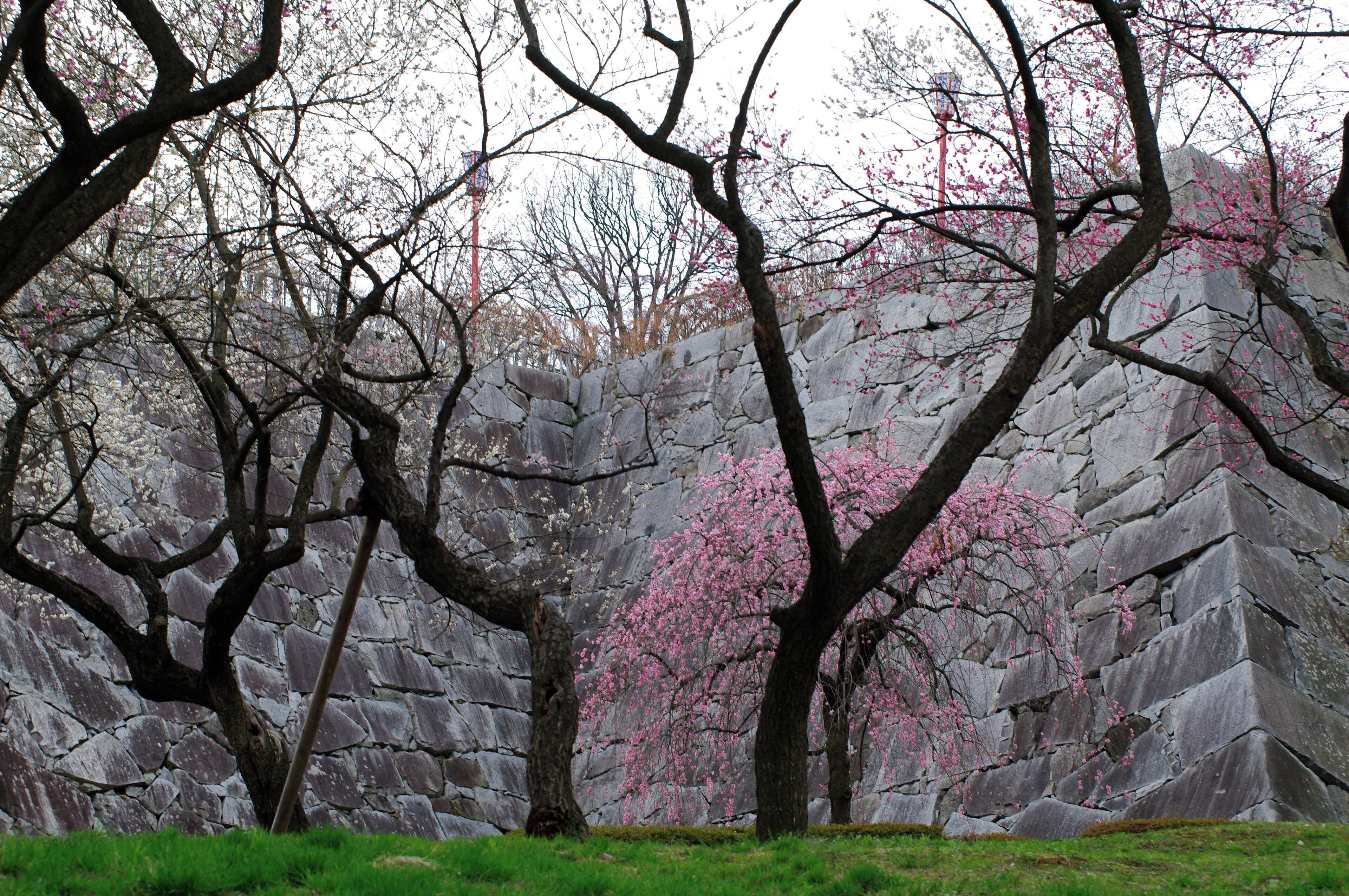 盛岡城跡公園 Morioka Castle Ruin