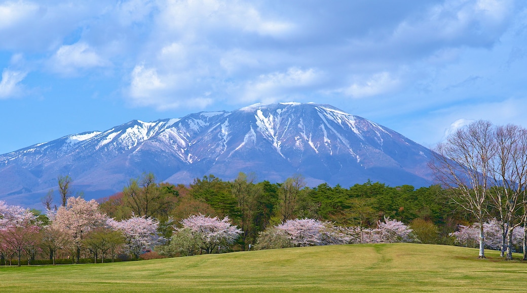 Panoramic of Iwate mountain in Spring of Morioka, Iwate District, in Japan.