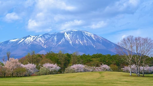 Morioka
