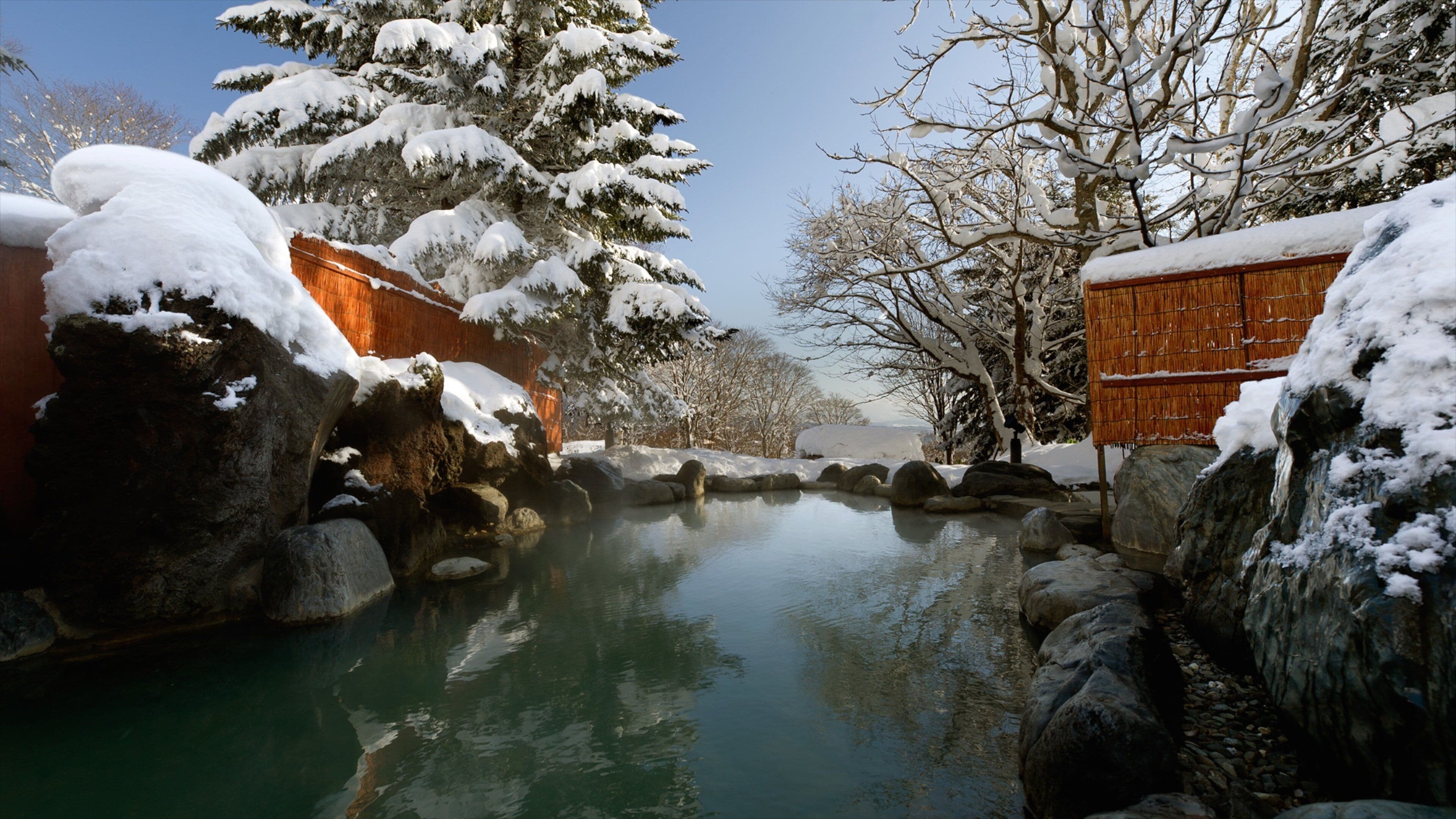 Niseko featuring snow and a pond