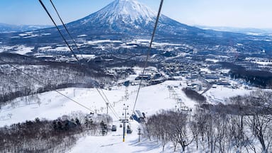 二世古町