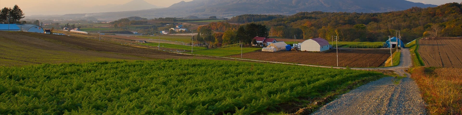 Niseko featuring mountains, landscape views and farmland