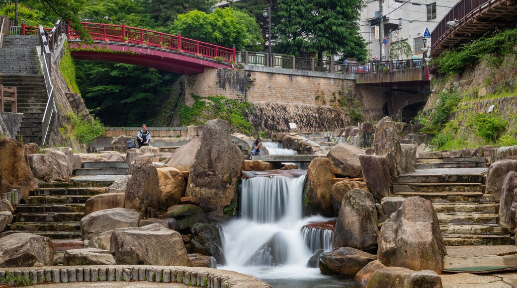 Arima Hot Springs which includes a garden and a river or creek