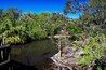 ST AUGUSTINE, FLORIDA, US - OCTOBER 25, 2017 - The alligators and roseate spoonbils on the farm located in St. Augustine, Florida, USA
