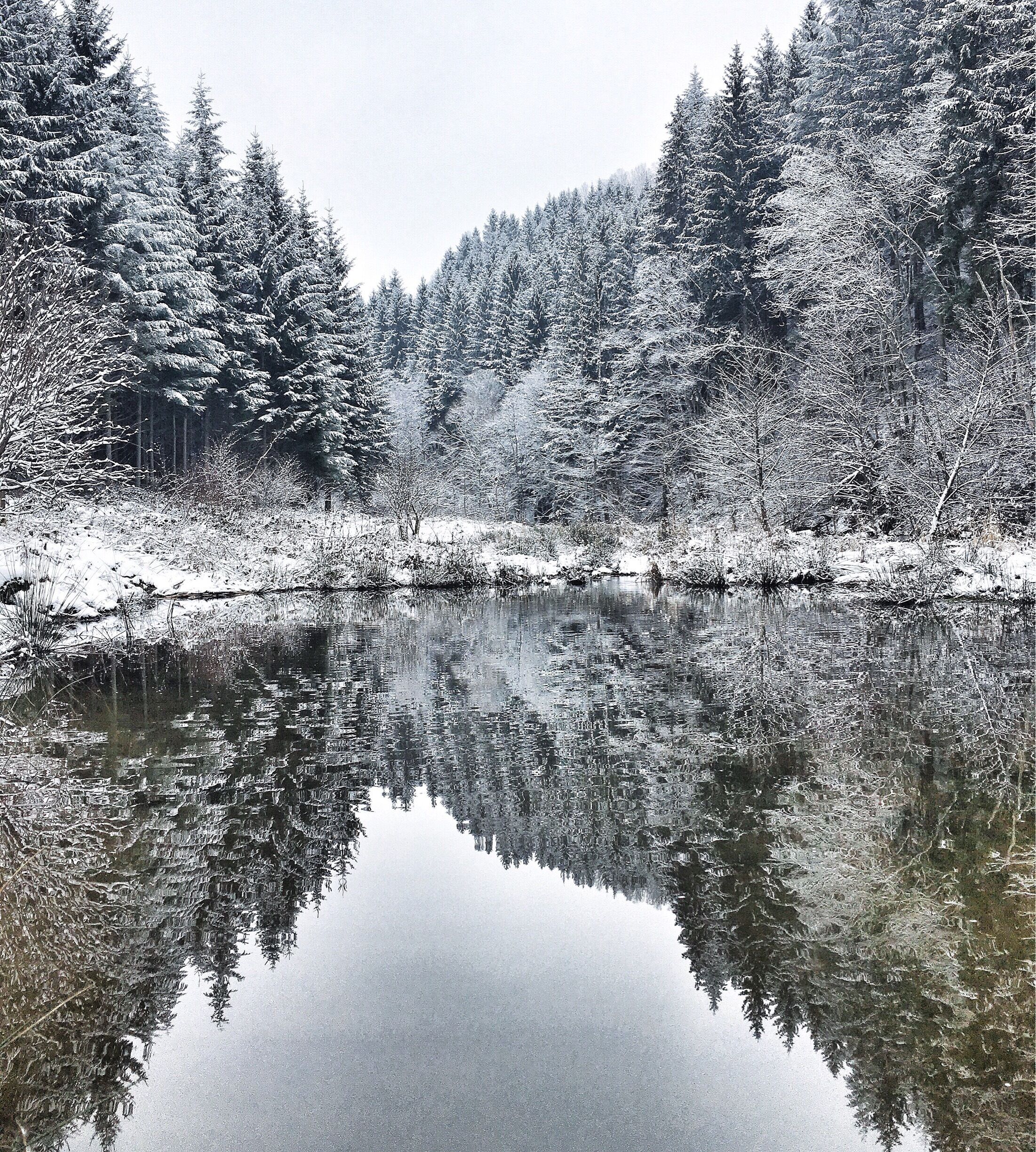 Winterwonderland in the Belgian Ardennes 🌲
#houffalize #belgium #hiking