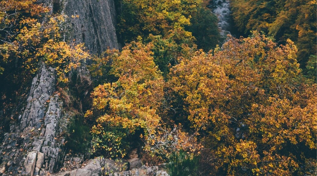 Overlooking the Ourthe valley from Le Herou in Nadrin.
#belgium #travel #gr #hiking #troveon
https://www.facebook.com/ShotByCanipel/
https://www.instagram.com/canipel/