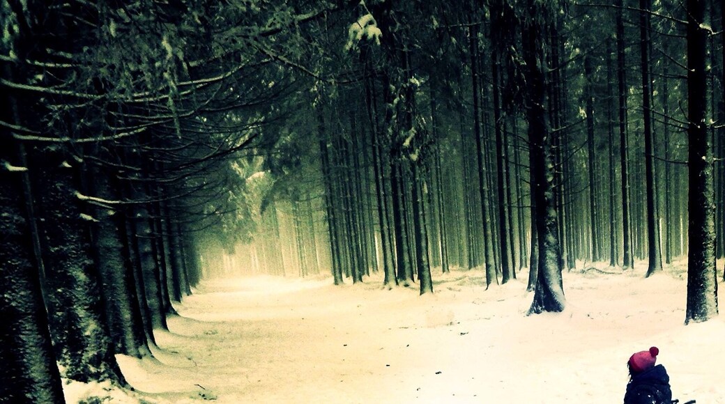 La piste de Ski Ă la baraque fraiture. âïžâ·