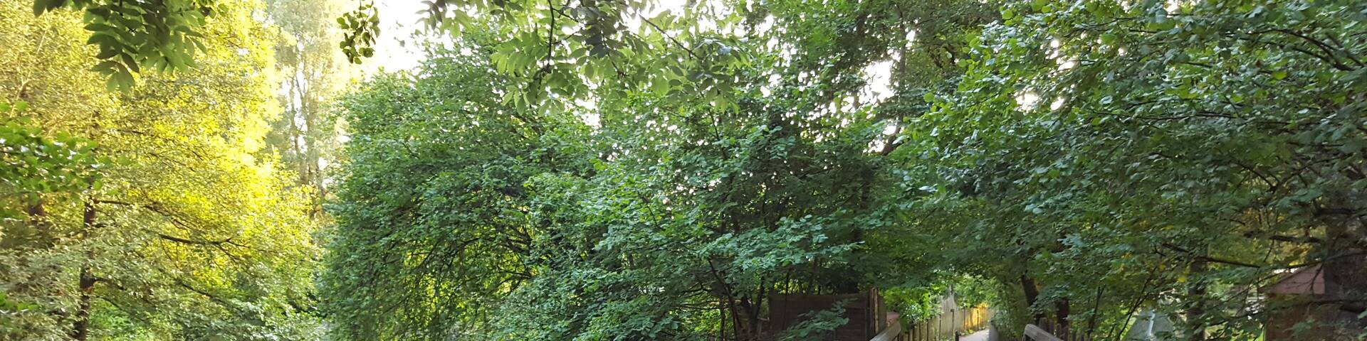 Steg zum Sommerbad Gauting