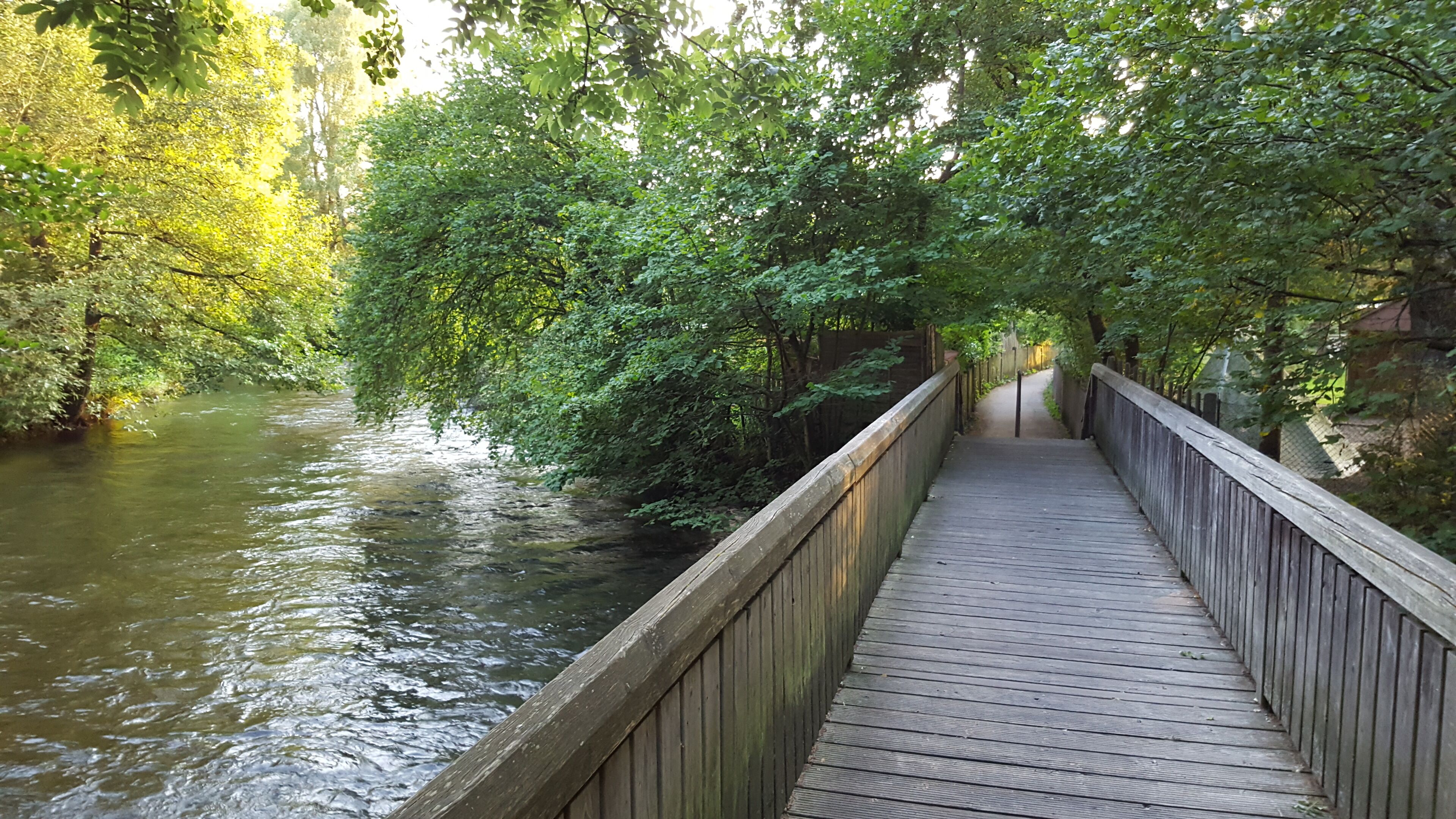 A wooden boardwalk over a river, surrounded by dense green foliage.