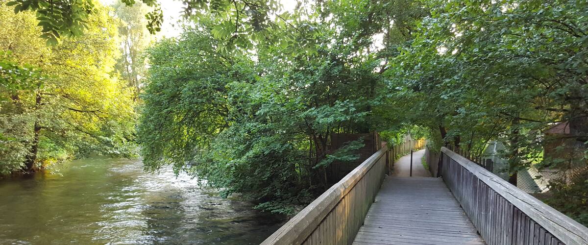 A wooden boardwalk over a river, surrounded by dense green foliage.