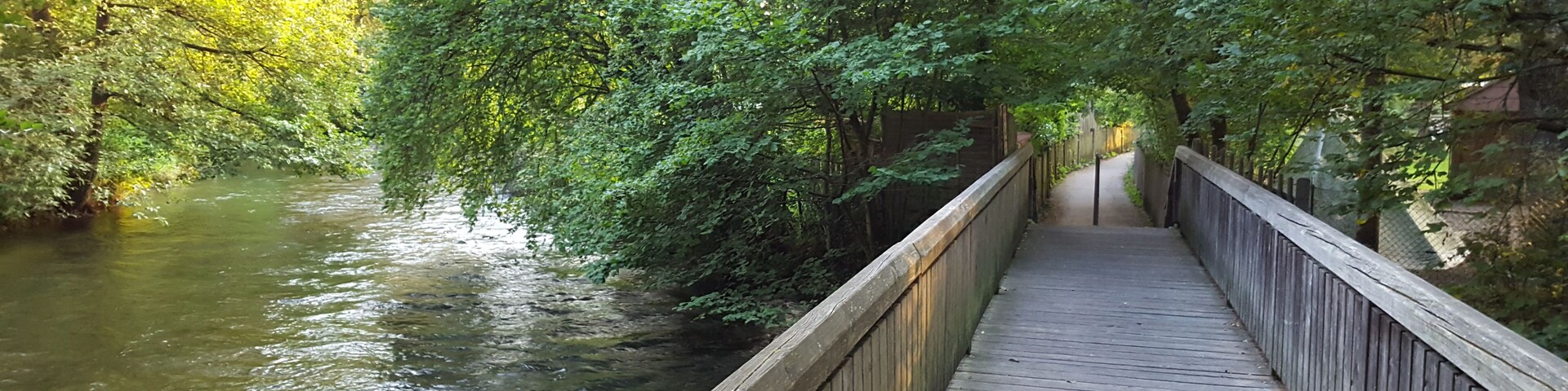 A wooden boardwalk over a river, surrounded by dense green foliage.