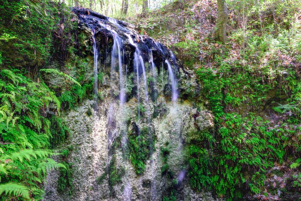 Una cascada que es vessa sobre roca coberta de molsa en una zona boscosa.
