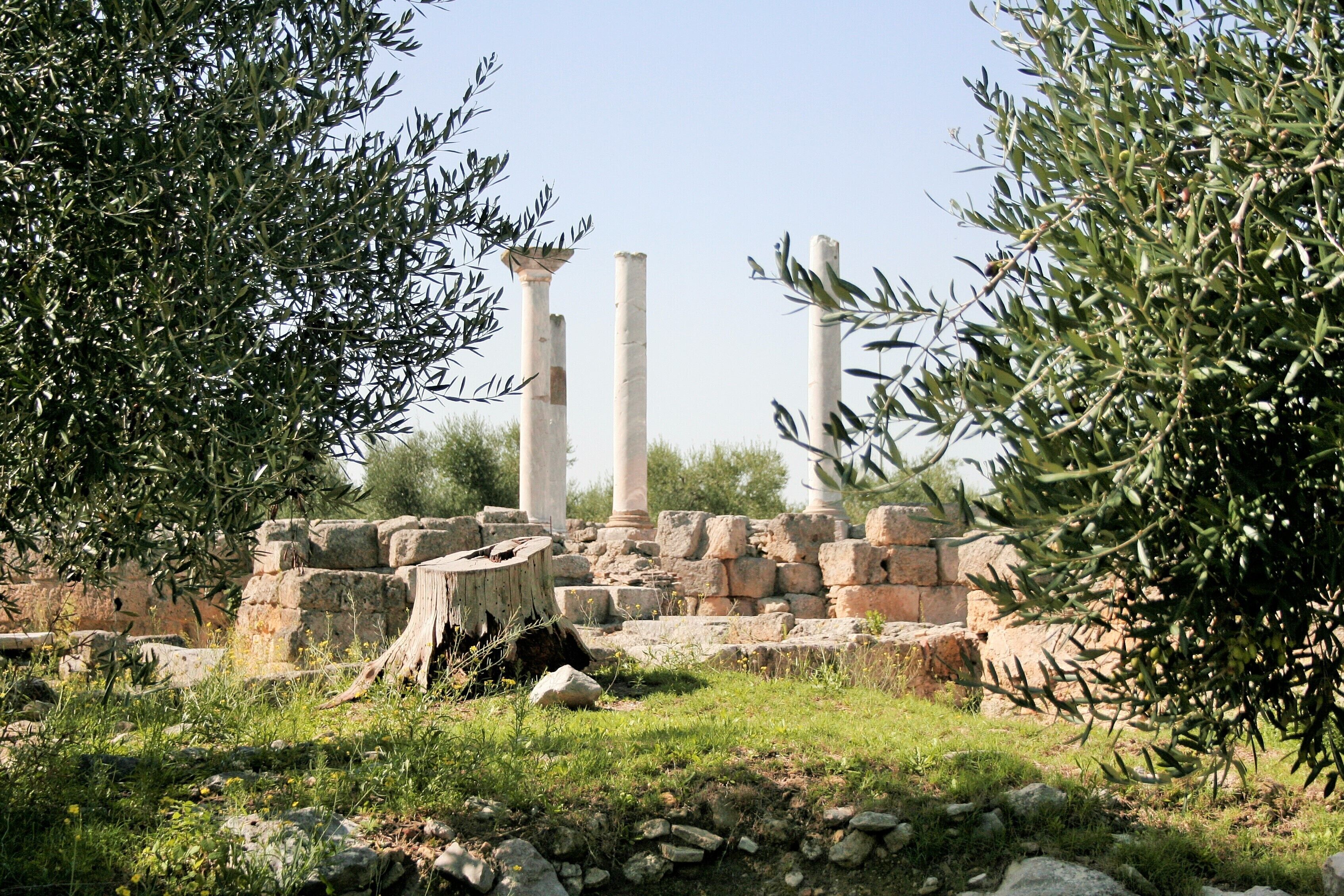 Basilica di San Leucio