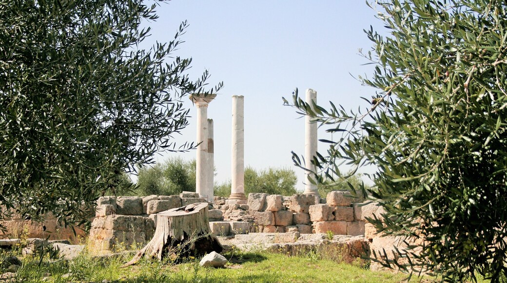 Basilica di San Leucio