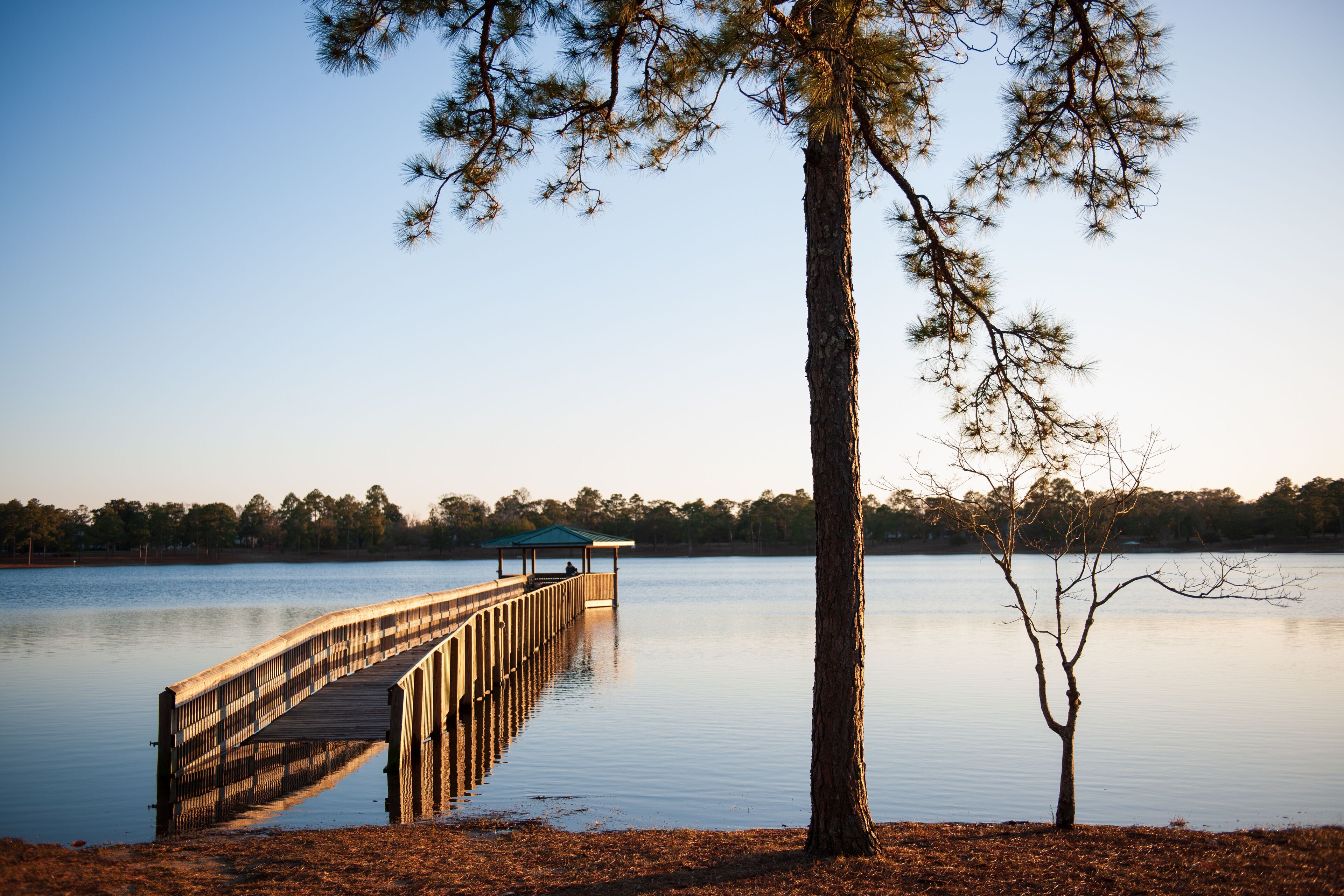 A boardwalk leading out into a lake in Defuniak Springs, Florida