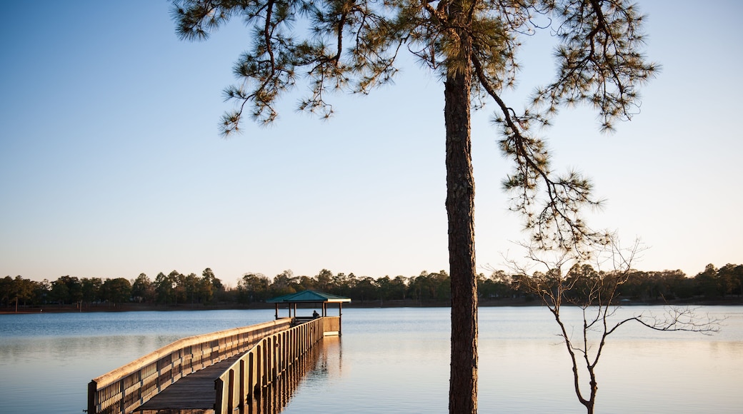 A boardwalk leading out into a lake in Defuniak Springs, Florida