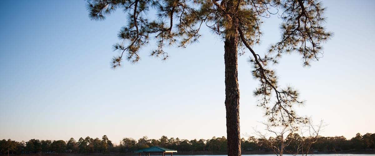 A boardwalk leading out into a lake in Defuniak Springs, Florida