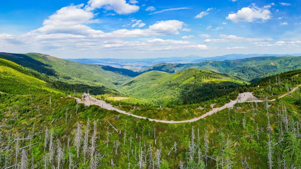 The trail to the Skrzyczne mountain through the Malinowska rock - Silesian Beskids - Szczyrk, Wisla - Poland