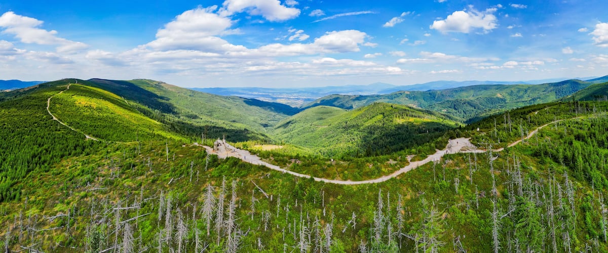 A mountainous landscape with a winding road through a forested valley.