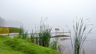 foggy morning on lake