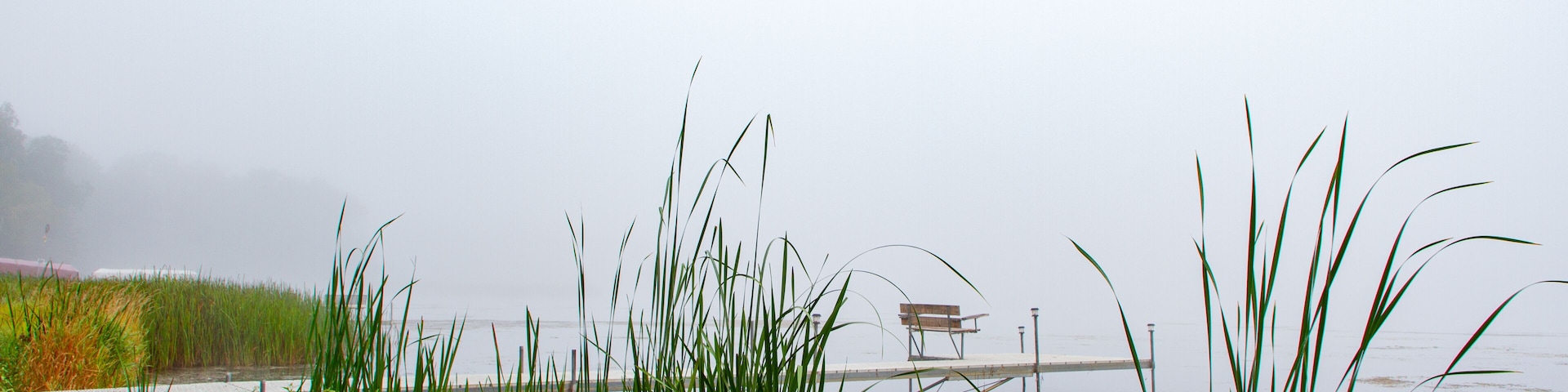 A foggy lakeside with tall grass and a wooden bench on a pier.