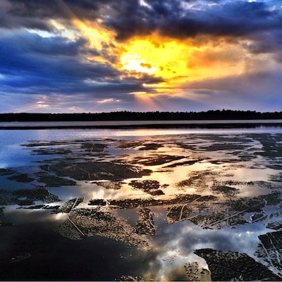 Big Trout lake is at the end of the White Fish Chain of lakes. It is very scenic year round. The waters on Big Trout stay pretty calm, so it's an ideal lake for water sports: i.e. skiing, tubing and wake surfing
