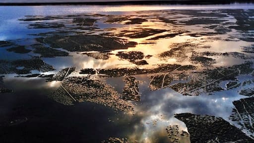 Big Trout lake is at the end of the White Fish Chain of lakes. It is very scenic year round. The waters on Big Trout stay pretty calm, so it's an ideal lake for water sports: i.e. skiing, tubing and wake surfing