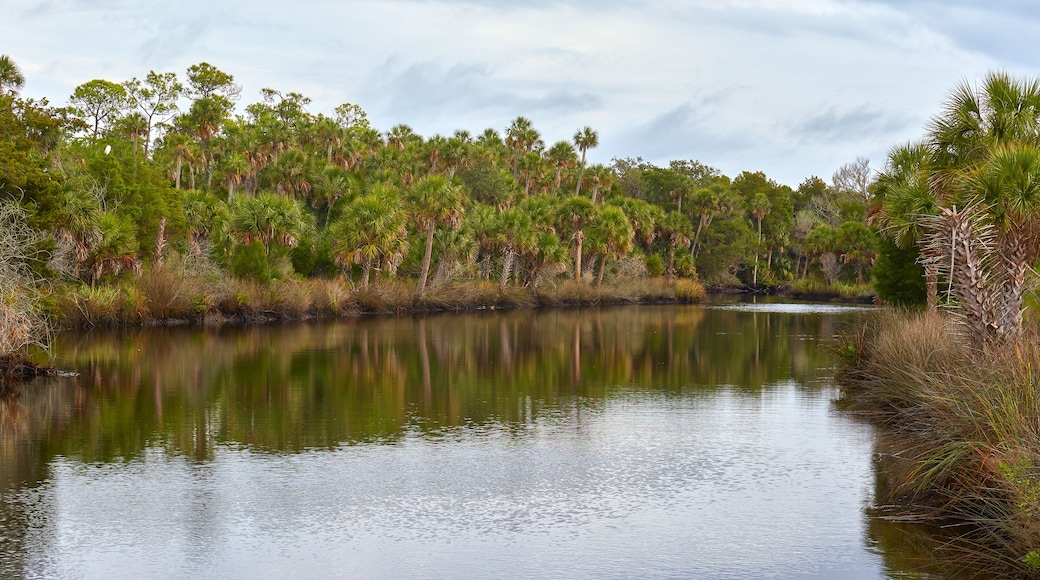 Scenic waterway at a county park near Weeki Wachee and Spring Hill in Hernando county, Florida