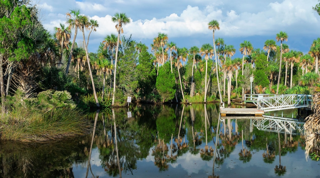 Coastal waterway near Spring Hill and Weeki Wachee, Florida