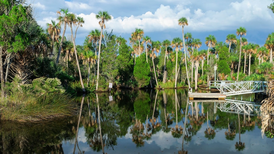 Coastal waterway near Spring Hill and Weeki Wachee, Florida