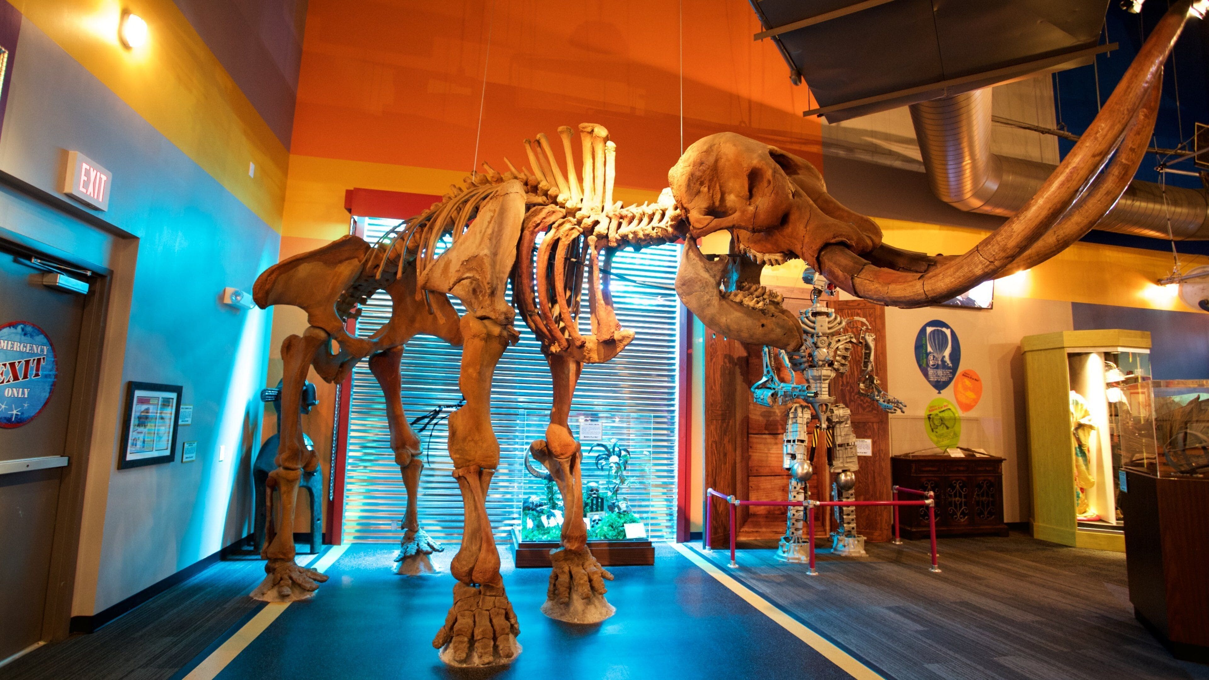 Ripley\'s Believe It or Not showing a statue or sculpture and rides