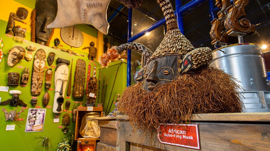 Florida Panhandle featuring interior views