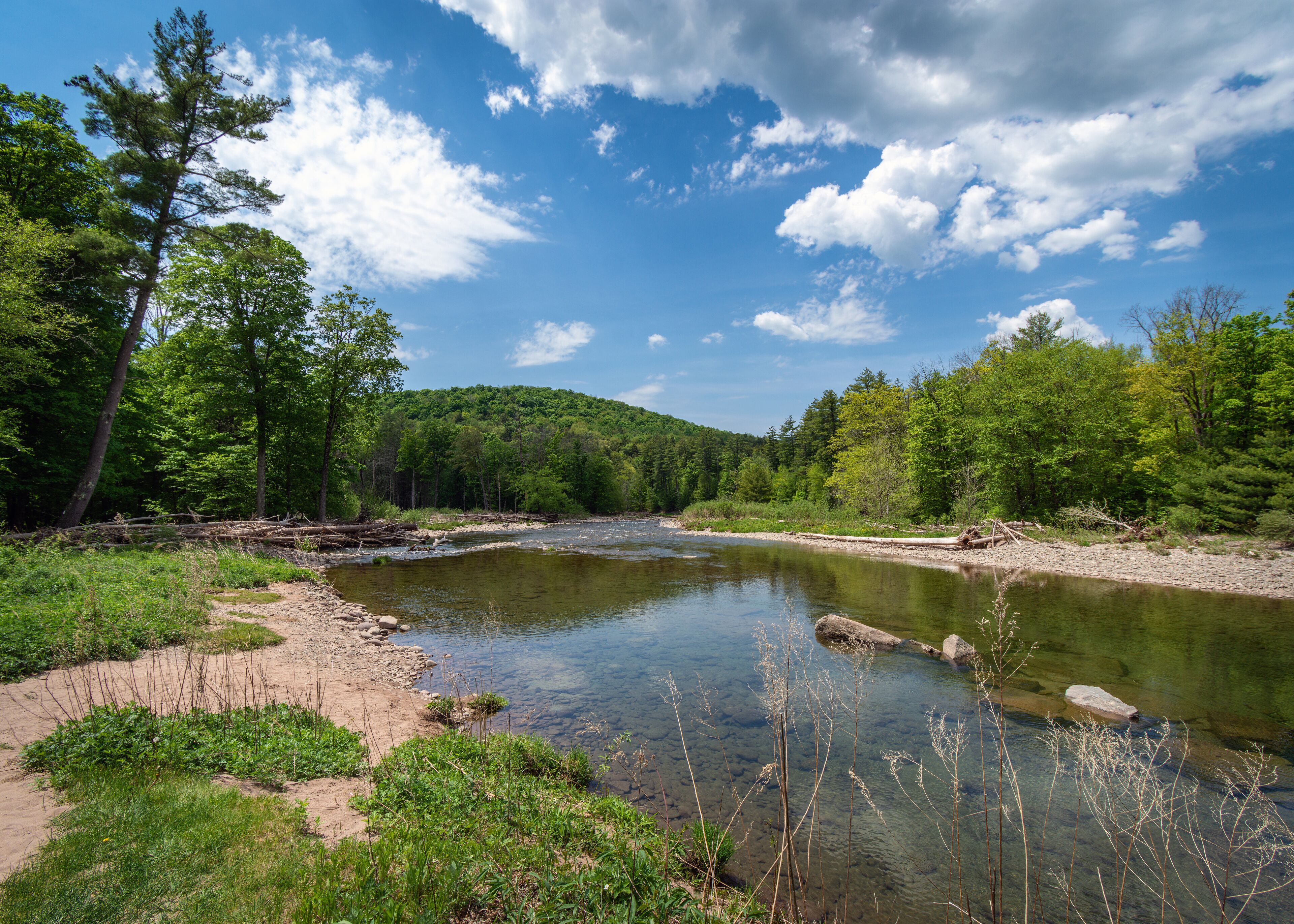 A clear river surrounded by dense forest and a hill in the background.