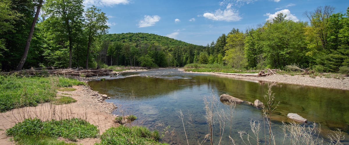 A clear river surrounded by dense forest and a hill in the background.