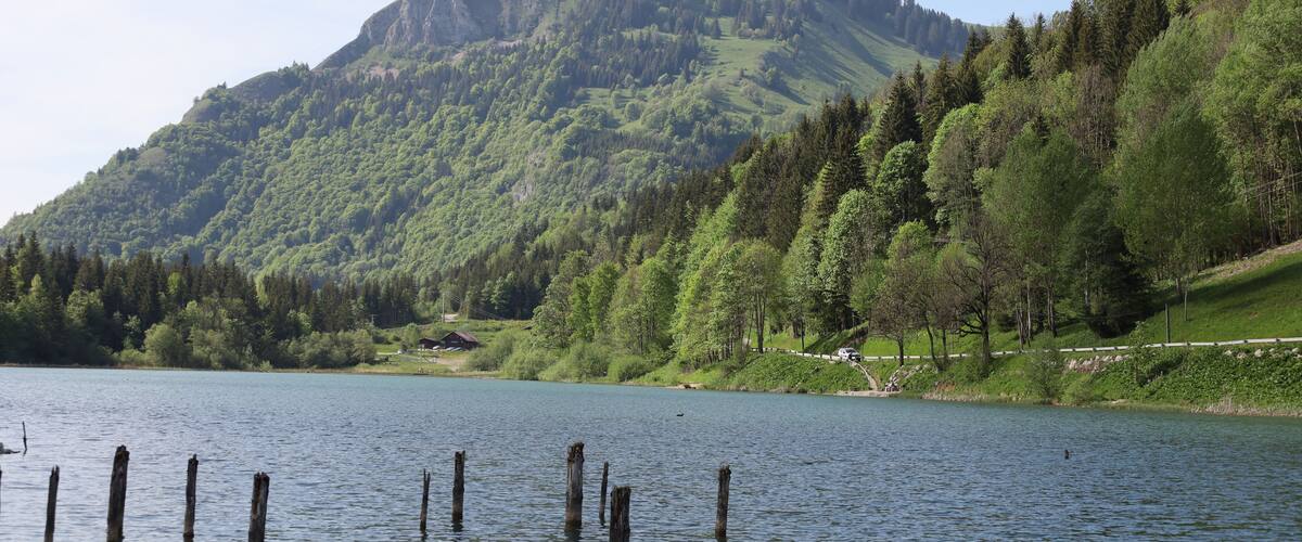A lake surrounded by green hills and a prominent mountain.