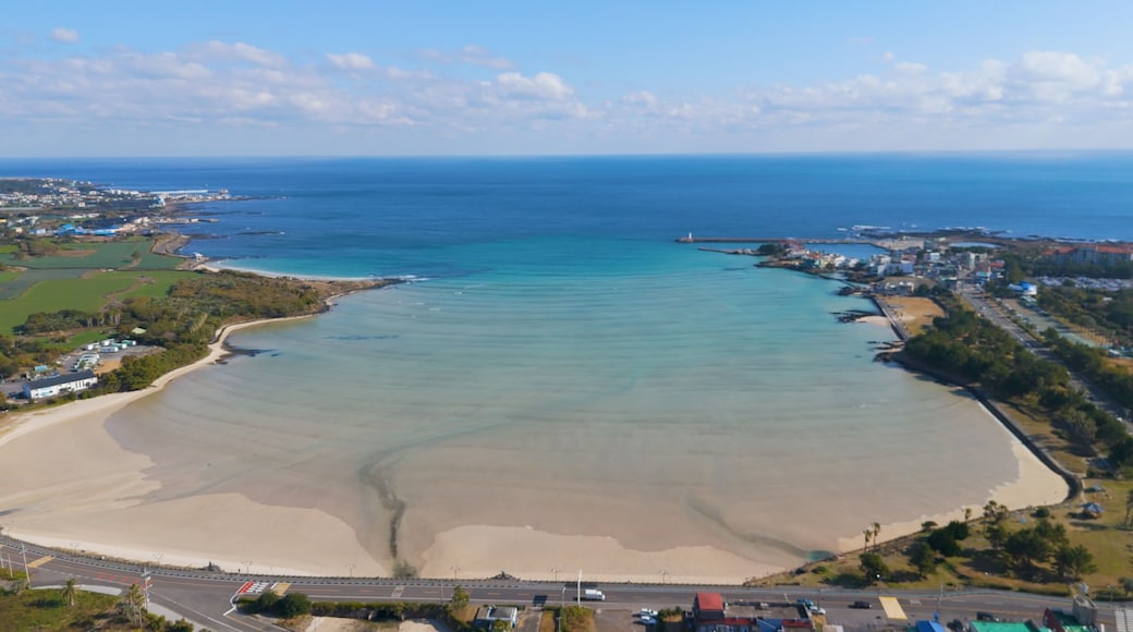 Pyoseon