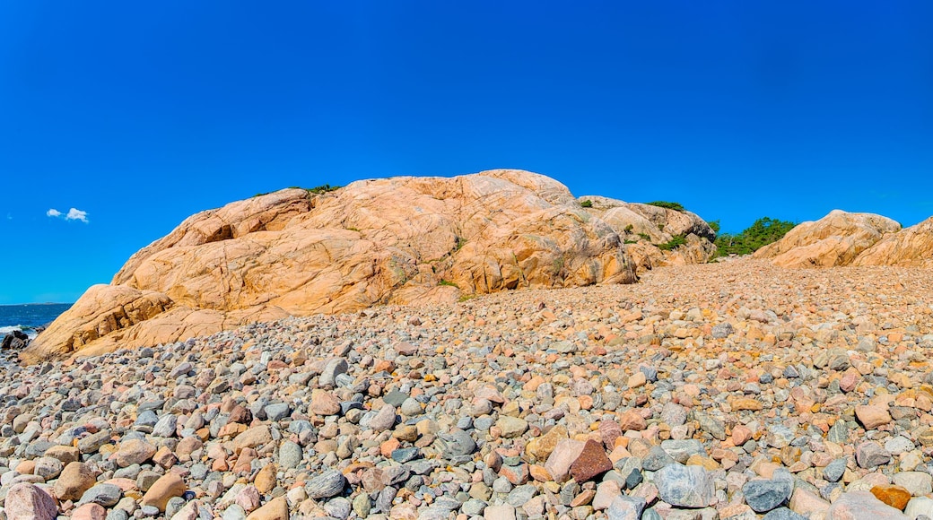 Küstenwanderung in Saltö Klippstranden in Schweden am Oslofjord