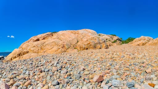 Küstenwanderung in Saltö Klippstranden in Schweden am Oslofjord