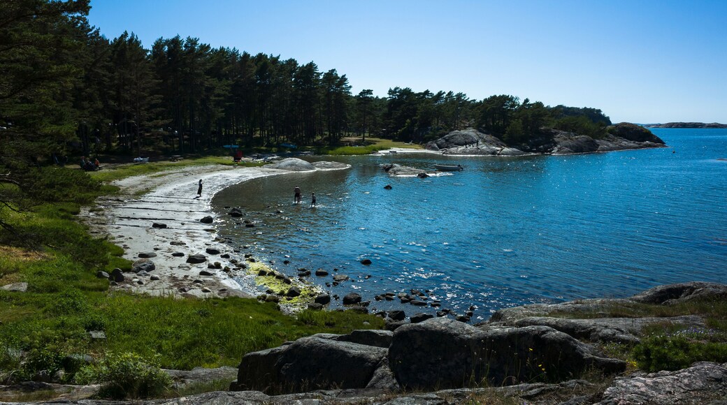 Small crescent-shaped beach on Rossö Island, Sweden. Rocky cliffs, shallow water, and a pine forest meet the blue sea under a clear summer sky. A serene coastal landscape