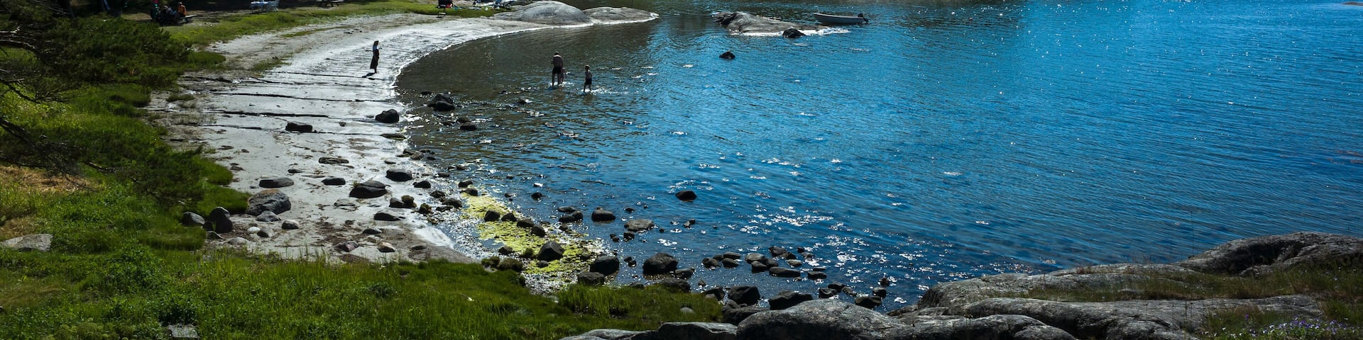 A coastal landscape with a clear blue sea, rocky shoreline, and dense forest.