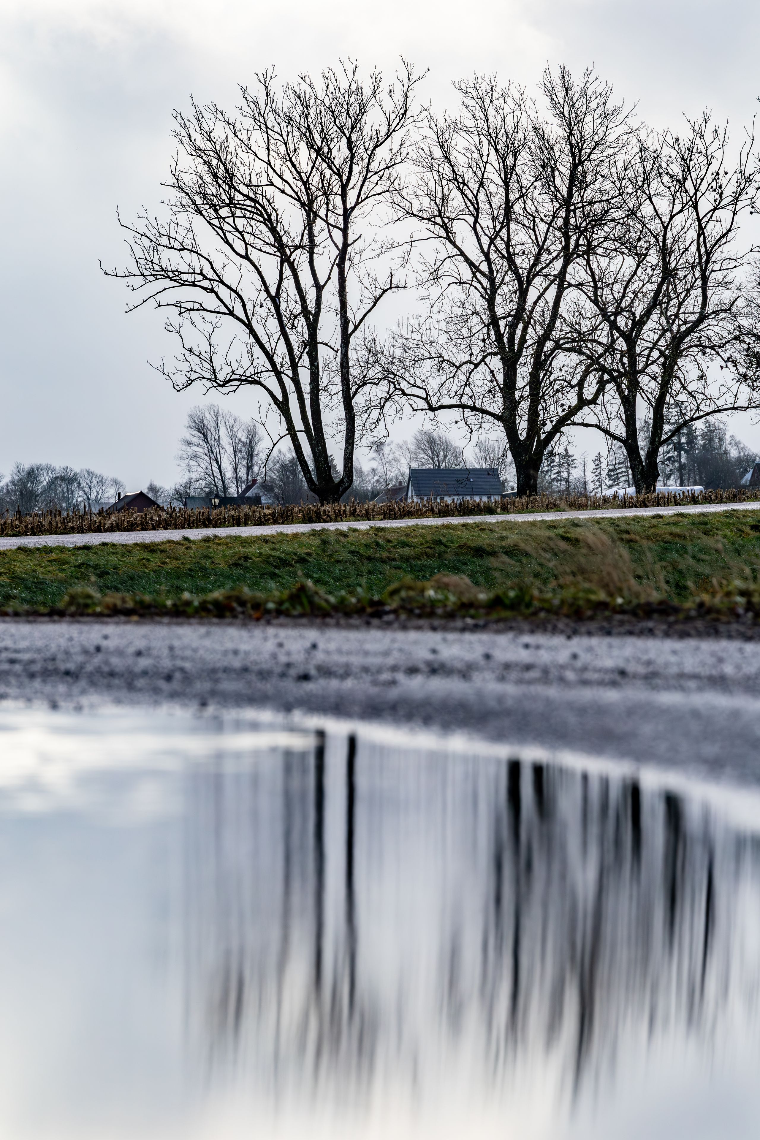 Eslov, Sweden A cloudy Swedish landscape in the region of Skane