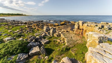 Una costa rocosa con grandes rocas y zonas cubiertas de hierba.
