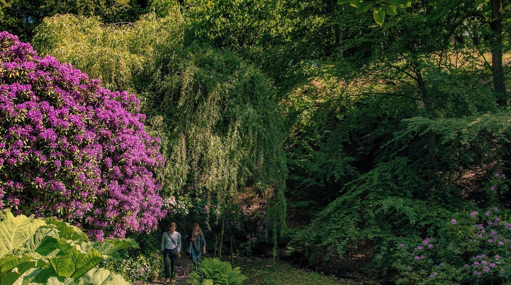 Sofiero Palace and its stunning garden is highly recommended to visit. I can walk there for hours photographing all the flowers.