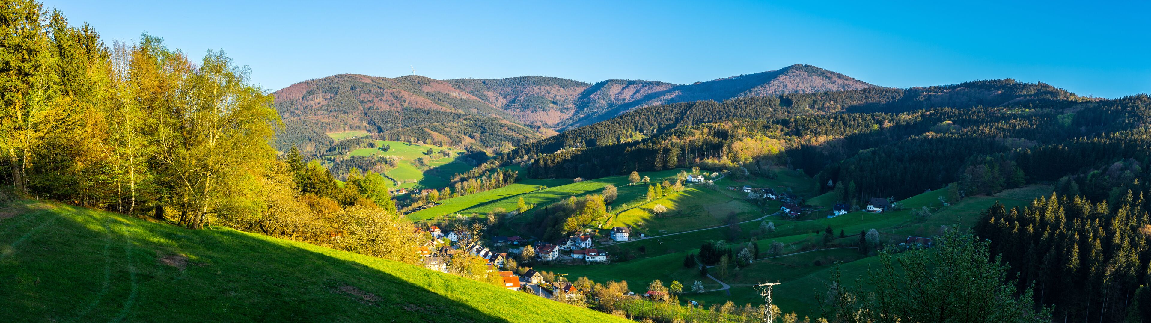 A valley with green fields, a small village, and mountains in the background.
