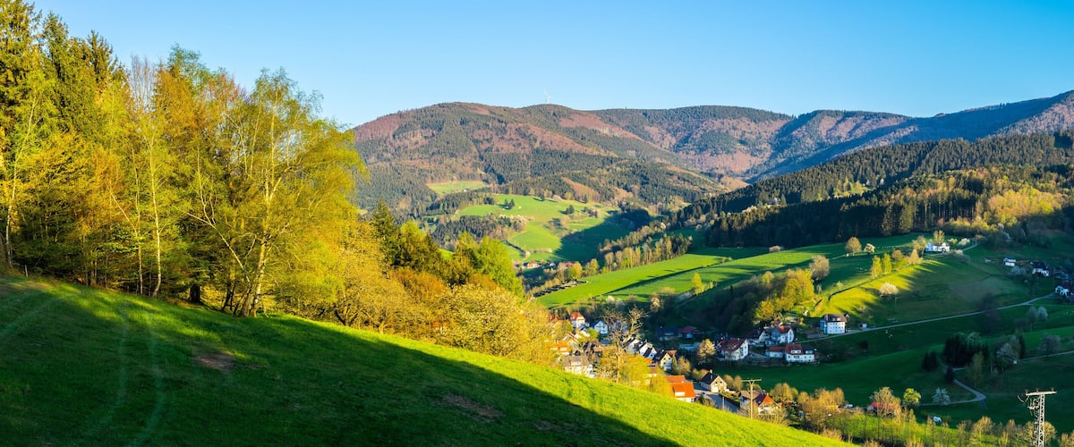 A valley with green fields, a small village, and mountains in the background.