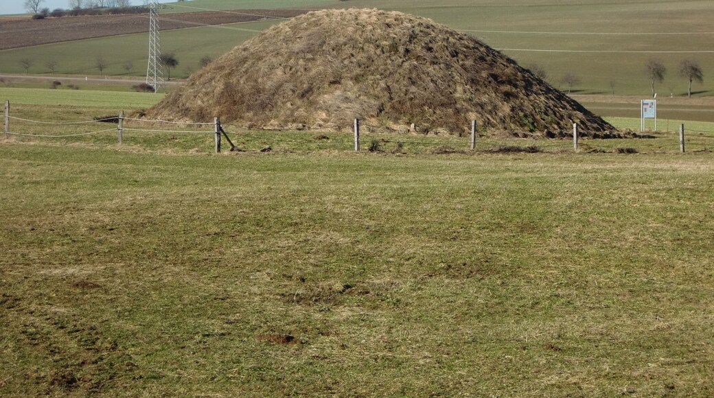 Hügelgrab bei Osterholz