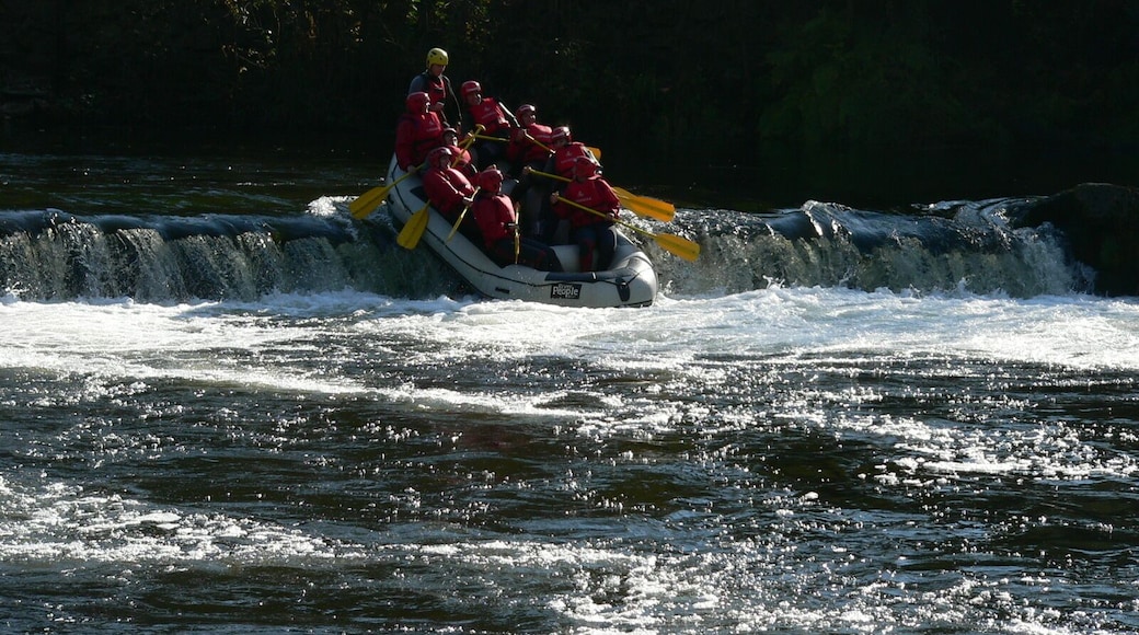 Baixando as Pesqueiras de Herbon