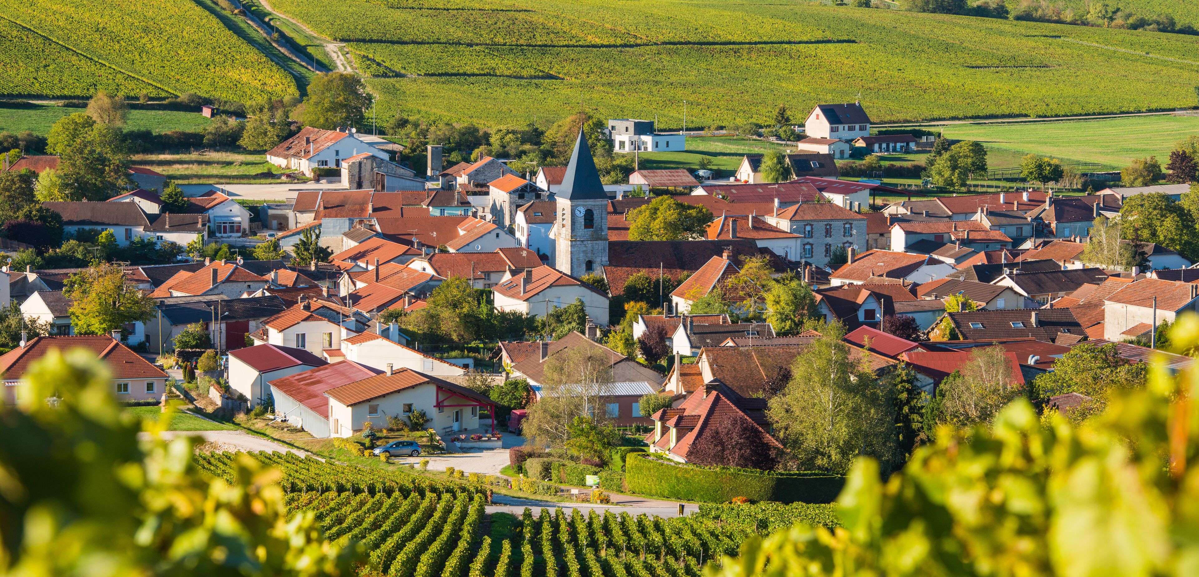A picturesque village with red-roofed houses, a prominent church, and lush vineyards.