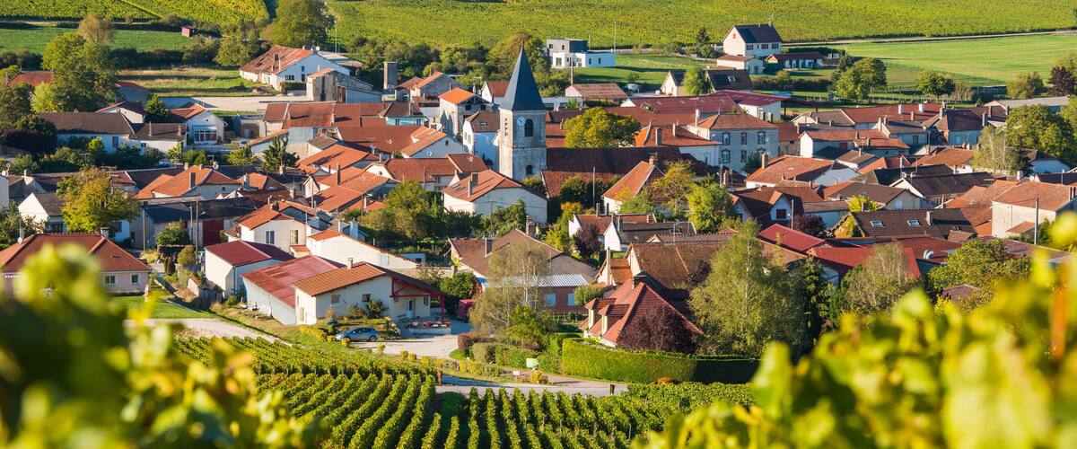 A picturesque village with red-roofed houses, a prominent church, and lush vineyards.